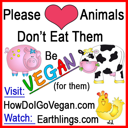 Vegan Stickers by Absolute Vegan