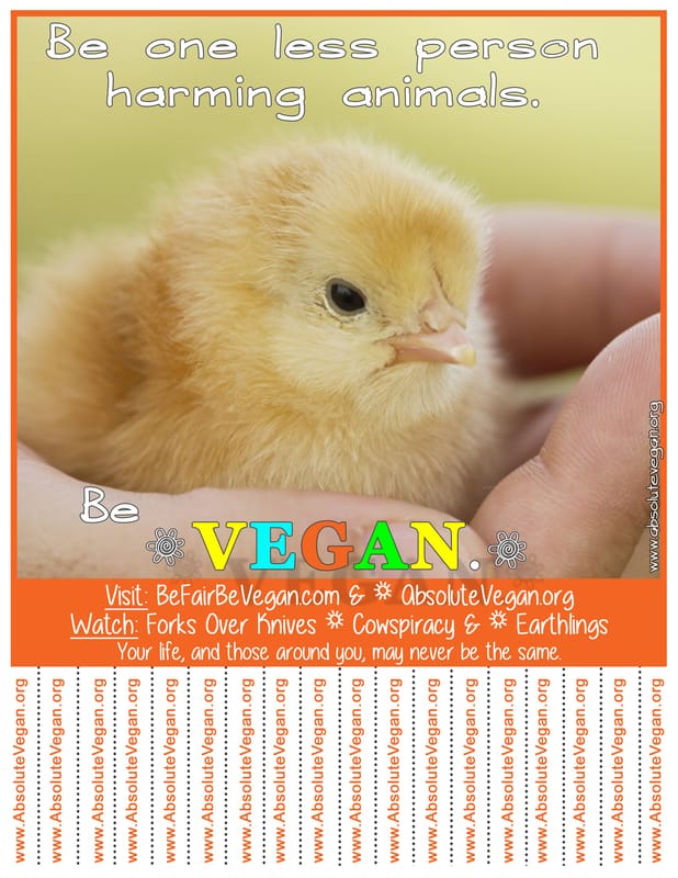 Vegan advocacy tear-off posters - Be one less person harming animals. Be VEGAN.  AbsoluteVegan.org
