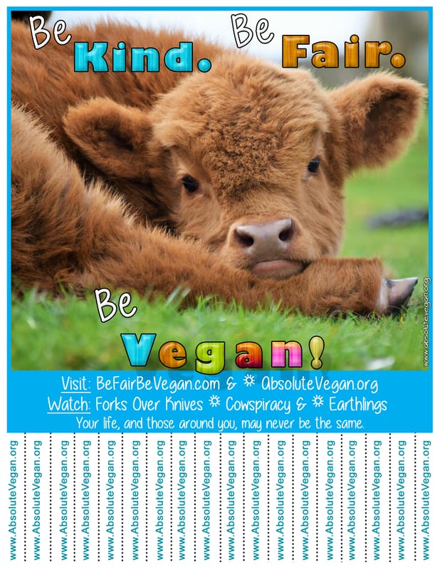 Vegan advocacy tear-off posters - Be Kind. Be Fair. Be Vegan! AbsoluteVegan.org