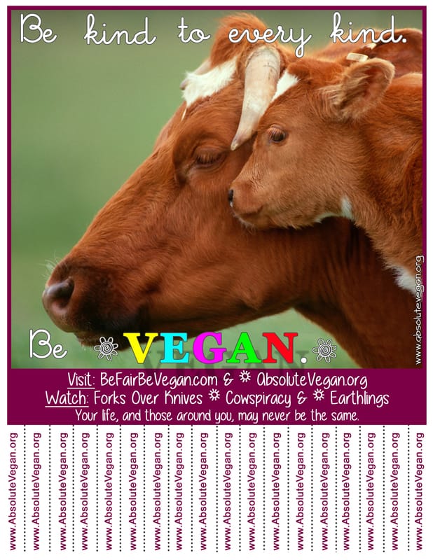 Vegan advocacy tear-off posters - Be kind to every kind. Be VEGAN.  AbsoluteVegan.org