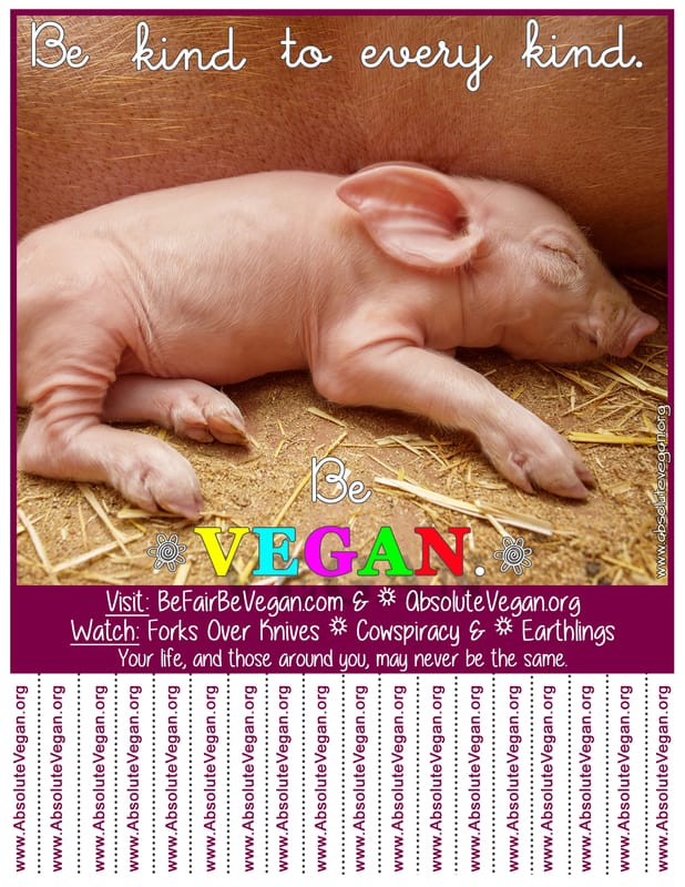 Vegan advocacy tear-off posters - Be kind to every kind. Be VEGAN.  AbsoluteVegan.org