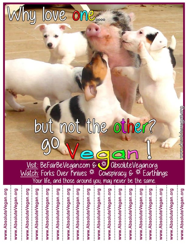 Vegan advocacy tear-off posters -  Why love one....but not the other?  Go Vegan!  AbsoluteVegan.org