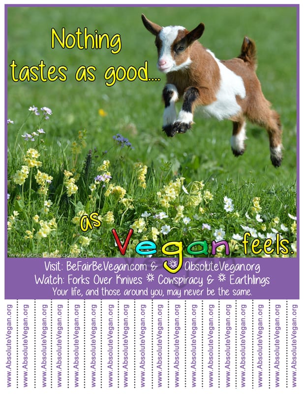 Vegan advocacy tear-off posters - Nothing tastes as good...as Vegan feels.  AbsoluteVegan.org