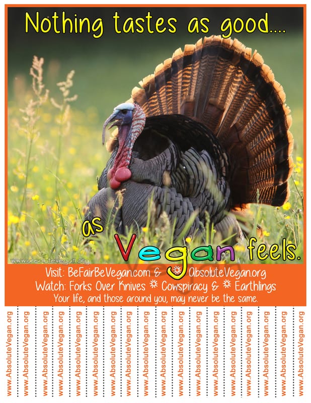 Vegan advocacy tear-off posters - Nothing tastes as good...as Vegan feels.  Thanksgiving. AbsoluteVegan.org
