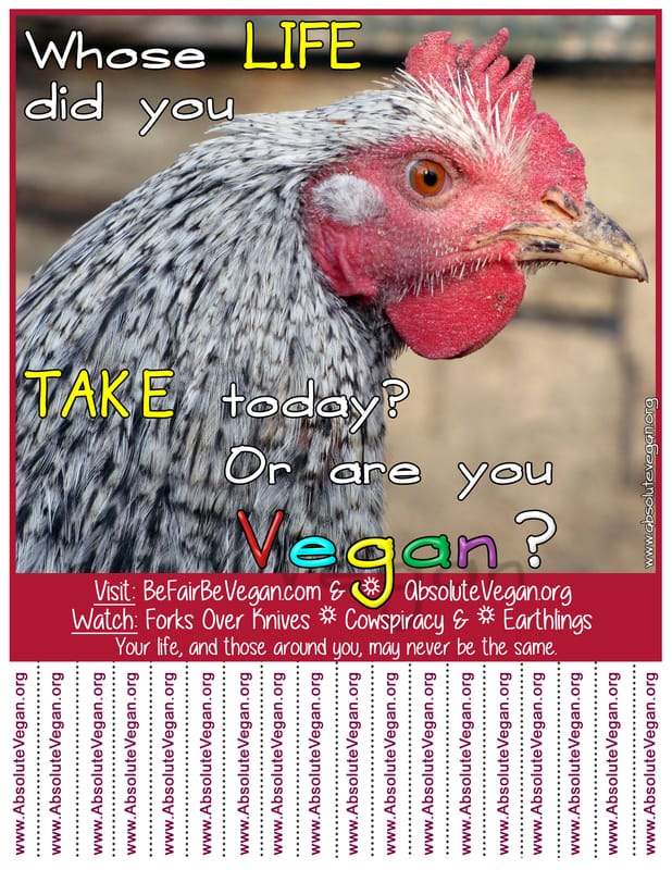 Vegan advocacy tear-off posters - Whose LIFE did you TAKE today? Or are you Vegan?  AbsoluteVegan.org
