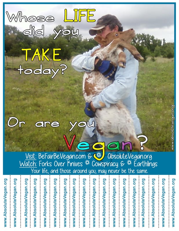 Vegan advocacy tear-off posters - Whose LIFE did you TAKE today? Or are you Vegan?  AbsoluteVegan.org