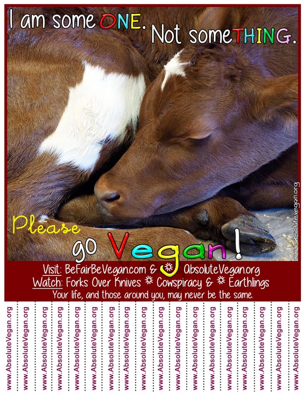 Vegan advocacy tear-off posters - I am someONE. Not someTHING. Please go Vegan!  AbsoluteVegan.org