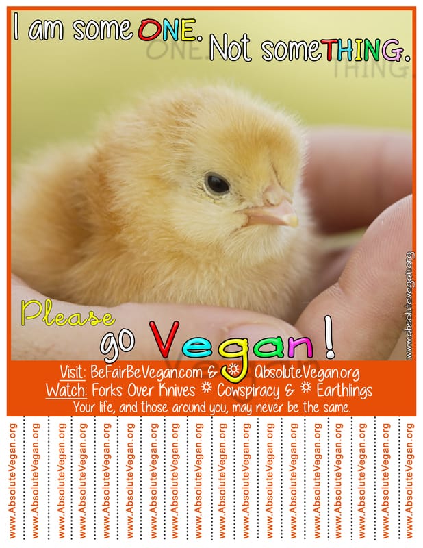 Vegan advocacy tear-off posters - I am someONE. Not someTHING. Please go Vegan!  AbsoluteVegan.org