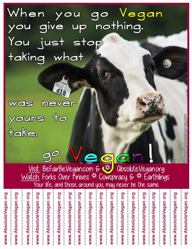 Vegan advocacy tear-off posters - When you go Vegan you give up nothing. You just stop taking what was never yours to take. Go Vegan! AbsoluteVegan.org