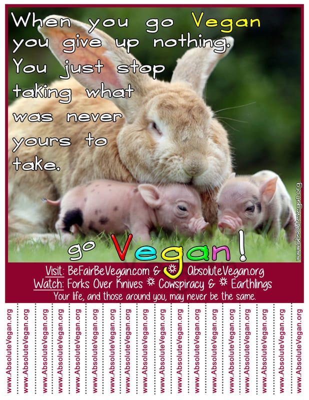 Vegan advocacy tear-off posters - When you go Vegan you give up nothing. You just stop taking what was never yours to take. Go Vegan! AbsoluteVegan.org