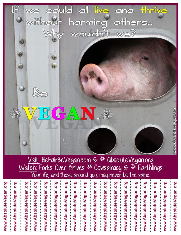 Vegan advocacy tear-off posters - If we could all live and thrive without harming others...Why wouldn't we? AbsoluteVegan.org