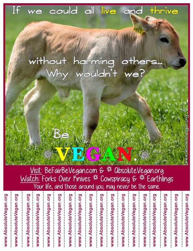 Vegan advocacy tear-off posters - If we could all live and thrive without harming others...Why wouldn't we? AbsoluteVegan.org
