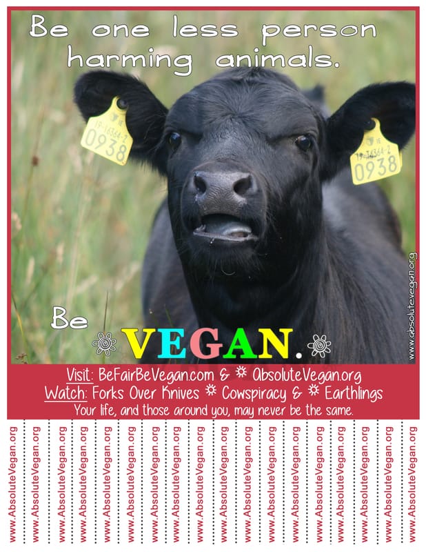 Vegan advocacy tear-off posters - Be one less person harming animals. Be VEGAN.  AbsoluteVegan.org
