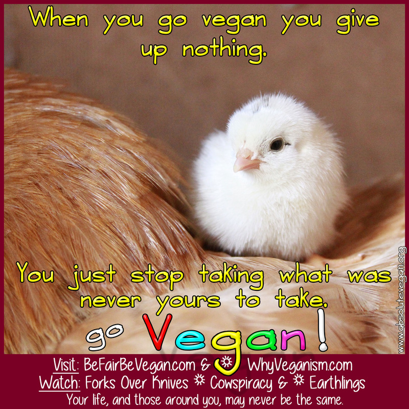 Absolute Vegan: When you go vegan you give up nothing.  You just stop taking what was never yours to take.